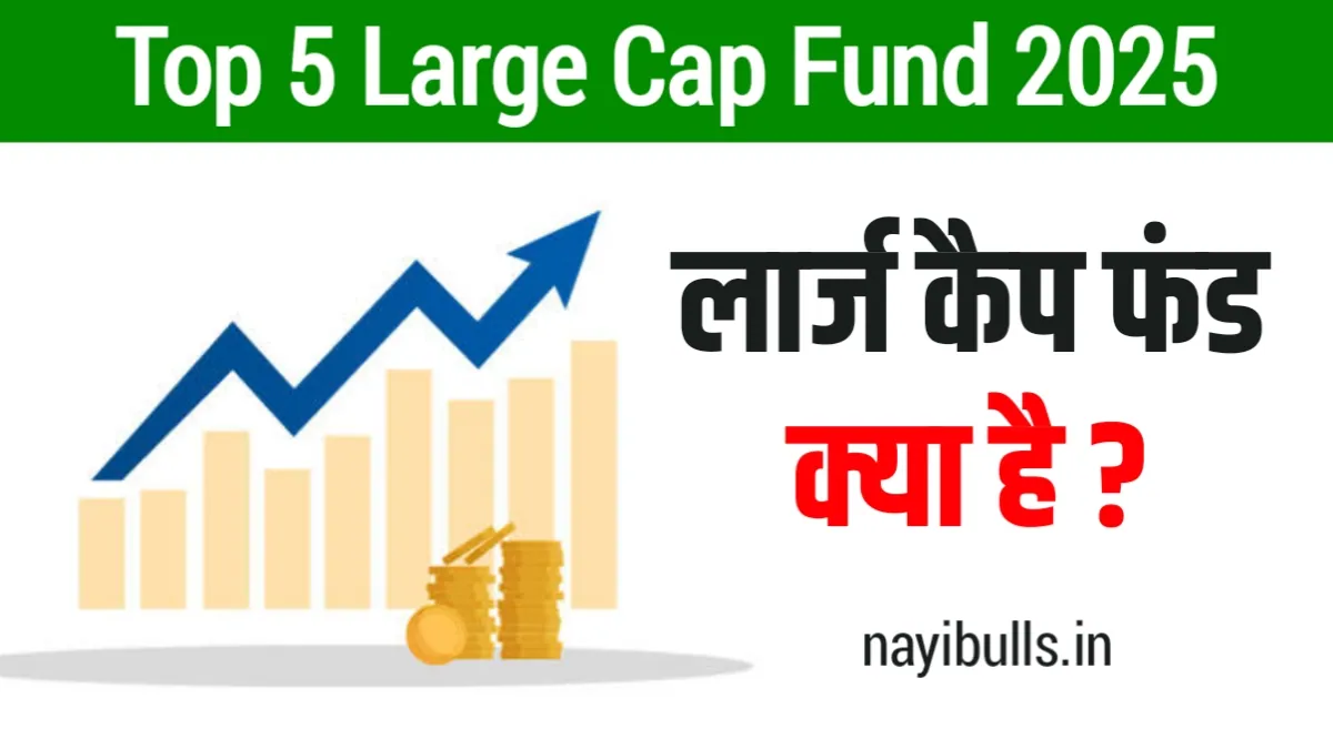 Top 5 Large Cap Fund 2025
